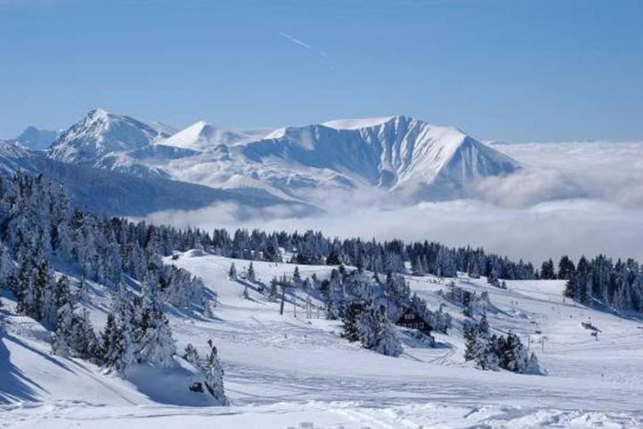 Charmant Studio Cabine Cocoon A 100 M Des Pistes 尚鲁斯 外观 照片